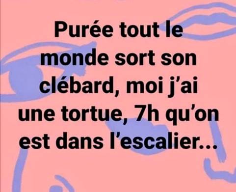 humour Covid 19